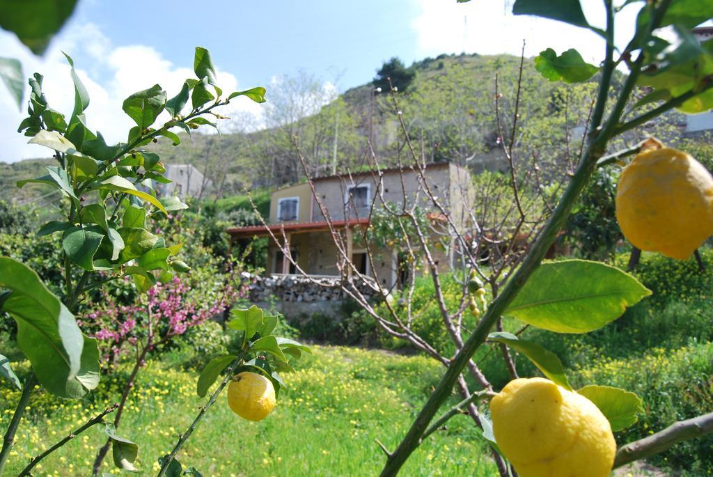 Al Melograno B&B Belmonte Calabro Værelse billede