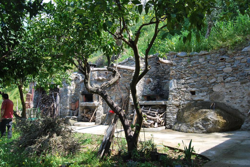 Al Melograno B&B Belmonte Calabro Værelse billede