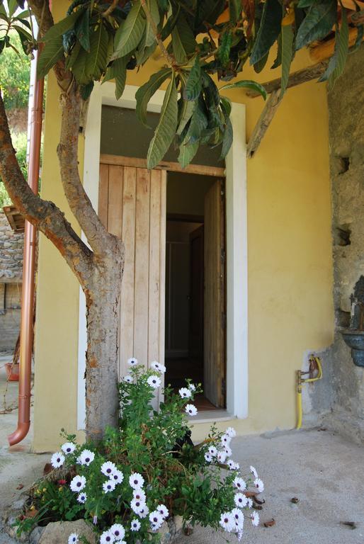 Al Melograno B&B Belmonte Calabro Eksteriør billede